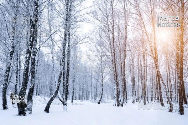 Se espera clima invernal y posible nieve en el noroeste de Chihuahua