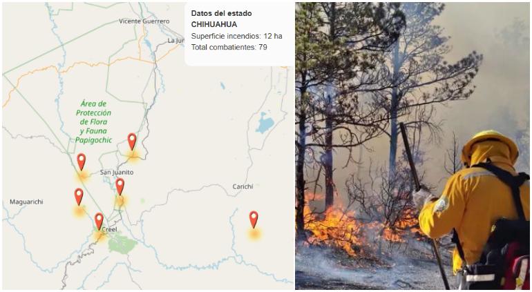 Rodean incendios forestales San Juanito