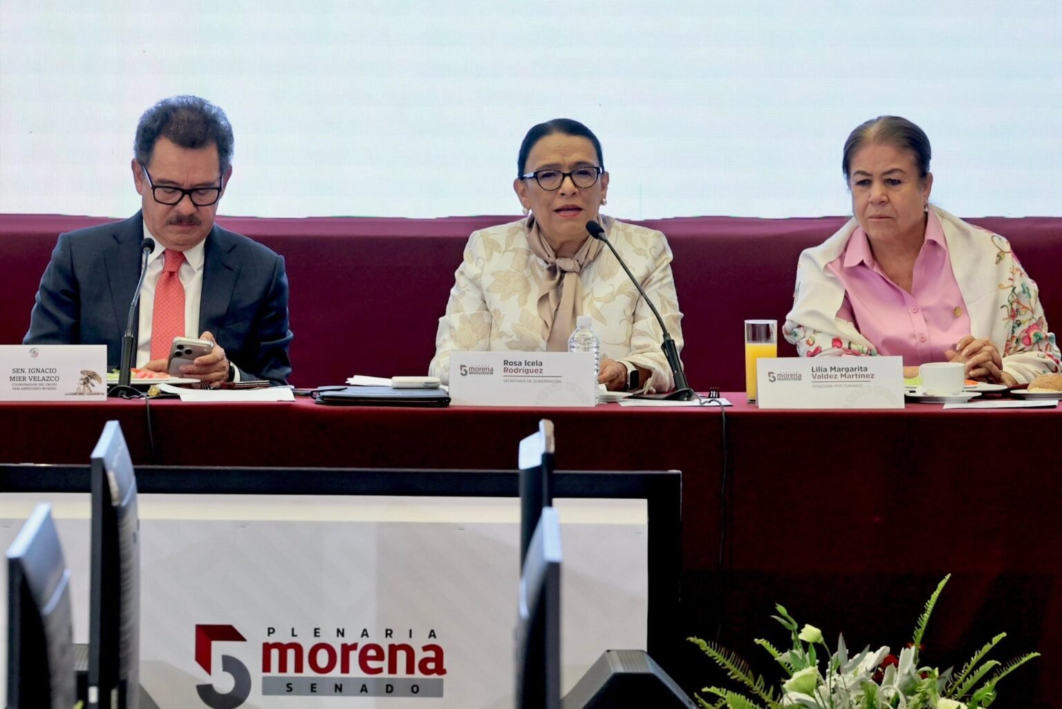 Rosa Icela Rodríguez aprieta las filas en la plenaria de Morena: “Ninguna candidatura está por encima de la estabilidad de México”