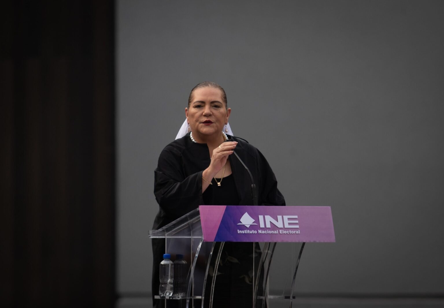 “Conservo mis principios y convicciones”: Guadalupe Taddei entrega su renuncia al INE a la Cámara de Diputados